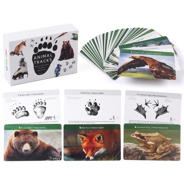 MEROCO Forest Animal Track Game Flash Cards