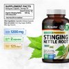 Stinging Nettle Capsules - Natural Urinary Tract & Overall Health Support - Organic Nettle Root Powder (Urtica Dioica) 1800 mg - 250 Vegan Pills - Non GMO