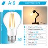 Ascher 60 Watt Equivalent, E26 LED Filament Light Bulbs, Warm White 2700K, Non-Dimmable, Classic Clear Glass, A19 LED Light Bulb with 80+ CRI, 6-Pack