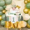 Wild One High Chair Banner For 1st Birthday Party Boy Decorations With Green Tassel Garland Crown Hat Cake Topper