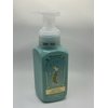 Coconut Angel Cake Gentle Foaming Hand Soap 8.75 Ounce Full Size Pump Bottle White Barn