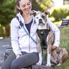 Kurgo Dog Harness | Pet Walking Harness | Small | Black | No Pull Harness Front Clip Feature for Training Included | Car Seat Belt | Tru-Fit Quick Release Style