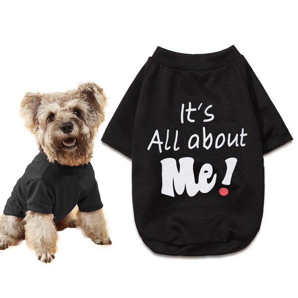 DroolingDog Dog Tee Shirts Black Dog Shirt Yorkie Clothes Dog T Shirt Small Puppy Dog Clothes Tshirts for Dogs Boy, Medium, Black