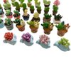 SIX VANKA Miniature Potted Plants Resin Decoration 30pcs Random Set for Doll House Pretend Play Toys DIY Mini Home Garden Flowerpot Succulent Planter