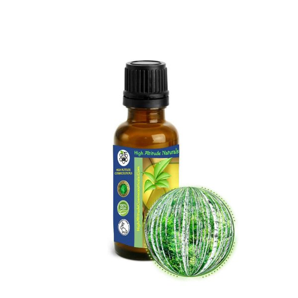 30ml (1oz) Birch Bud Essential Oil (Betula Pendula, Silver, European)