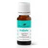 Plant Therapy KidSafe Get 'Em Gone Essential Oil Blend 10 mL (1/3 oz) 100% Pure, Undiluted, Therapeutic Grade