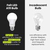 Feit Electric A19 LED Light Bulb, 60W Equivalent, Non Dimmable, 800 Lumens, E26 Medium Base, 3000k Bright White, CRI 90, 10 Year Lifetime, UL Listed, Damp Rated, 10 Pack, OM60/930CA10K/10