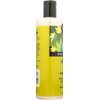 Bulk Saver Pack 12x12 FZ : Shikai Products Shower Gel - Cucumber Melon