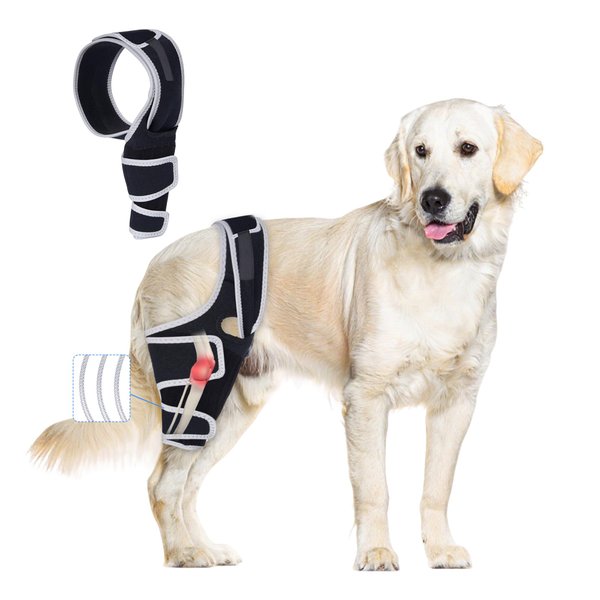 Furtent Dog Knee Brace for Torn ACL Hind Leg, Dog Leg Braces Rear Leg or Front Legs with Cruciate Ligament Injuries Adjustable, CCL Brace for Pets Knee Support Warm Joint Pain Relief, L