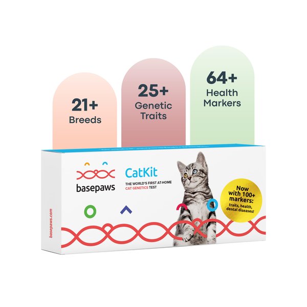 Basepaws Cat DNA Test Kit - Comprehensive Breed, Health and Dental Analysis Across 114 Traits for Accurate and Easy-to-Use Genetic Insights