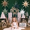 SUNBEAUTY Sage Green 9-Pointed 12 Inch Paper Star Lanterns Christmas Hanging Lamp Paper Decorations Shade Wedding Birthday Christmas Home Party Decorations