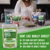 XPRS Nutra Organic Barley Grass Powder - 8 Ounce Premium Barley Powder Rich in Antioxidants, Amino Acids and Protein - Barley Green Superfood for Immunity