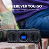 Avantree Boombyte - Portable Digital FM Radio with Bluetooth Speaker, Superb Sound, Metal Finish, MP3 Player, Support Micro SD Card & USB Audio Input, Long Play Time, Rechargeable, Easy to Use - Black