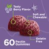 Sambucus Elderberry Gummies for Kids Immune Support Supplements with Vitamin D3 & Vitamin C - 3-1 Immune Booster - Vegetarian, Gelatin Free, Gluten Free, GMO Free - Tasty Chewable Berry Flavored Gummy