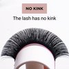 Bonita Lashes I Classic Eyelash Extension Kit I Individual Lashes I False Eyelashes I Faux Mink Lashes I C-D Curl 0.15 Thickness I Mix 8-14mm Length I Eyelash with Natural Look I Classic Eyelashes Extensions I Lash Extension Kit I Professional Supplies I 