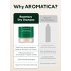 AROMATICA Rosemary Dry Shampoo Powder 10g/0.3oz - Mini Dry Shampoo with Panthenol and Biotin For Dark Hair | Travel Dry Shampoo | Non aerosol & Talc Free