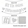 MonMon & Craft Little Miss Threenager Banner/Children Girl 3rd Birthday Party/Hello Three Sign/Little Girl Three Years Old Birthday Party Decorations - Silver Glitter