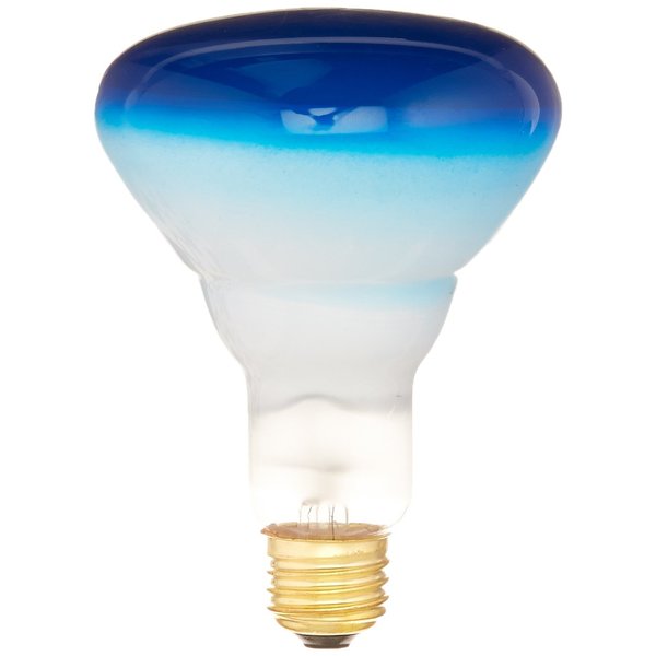 Bulbrite Incandescent BR30 Medium Screw Base (E26) Light Bulb, 75 Watt, Blue