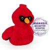 1i4 Group Warm Pals - Cardinal - Cozy Lavender Scented Plush Toys - Stuffed Animal - Coolable Bedtime Comfort Plushie