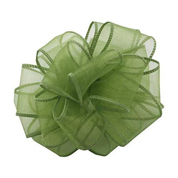 Berwick Offray ISS-040-50-KIK Kiwi Wired Edge Ribbon