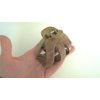Generic Faux wood wooden octopus hair claw clip for thick hair (Primary color: Dark wood), 1 Count (Pack of 1)