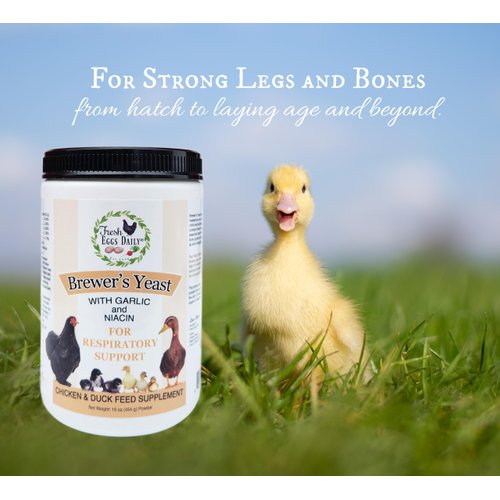 Fresh Eggs Daily Brewer's Yeast with Garlic Powder and Niacin for Ducks Feed Supplement Vitamins for Backyard Chickens 1LB