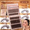 Eefofnn Brown Lash Clusters 360 pcs Eyelash Extension Natural Individual Lashes Brown Wispy+50P+60P+80P+Bottom Lashes Clusters DIY Lash Extension 5 Styles Cluster Lashes D Curl Lash Extension
