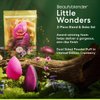Beautyblender® | Little Wonders Blend & Bake Set, Blend Liquid Foundations, Powders and Creams, Streak Free Application, Vegan, Cruelty Free, Made in USA