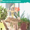 Wepets 6PCs Natural Bird Chewing Shredding Foraging Toys, Bird Swing Toy with Bird Perch for Cockatiels, Parrotlets, Cockatiels, Conures, Parakeets, Budgies, Love Birds and More