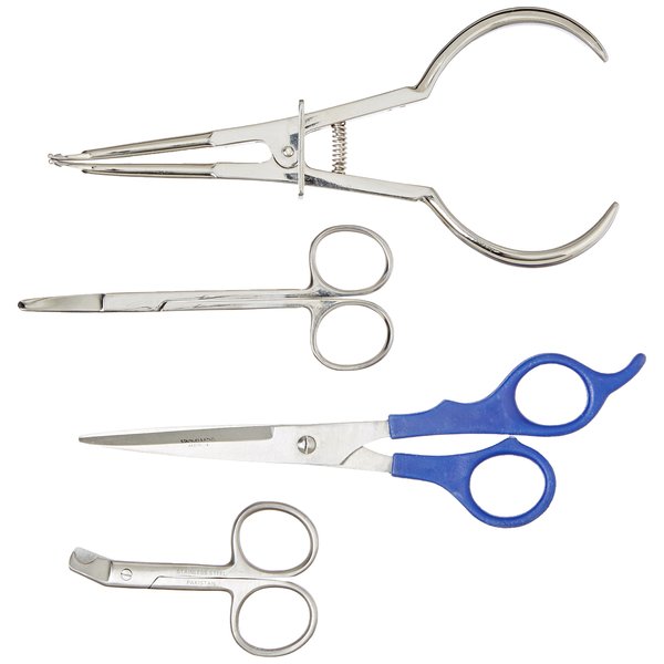 TAMSCO Bird Band Removal Kit (B-48P, M-1510, T-M165, D-9583) Stainless Steel Set of 4 Black Zipper Case Angled 3-Inch Scissor