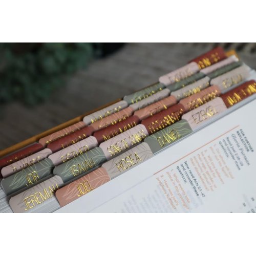 Salt & Light - Matte Coated - Bible Tabs - Earth Tone - Bible Journaling - Beautiful Index Tabs - 66 Books + 6 Free Tabs Indexing Tabs - Laminated - Durable - High Quality - Nuetral - Women & Men