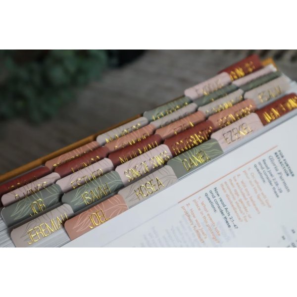 Salt & Light - Matte Coated - Bible Tabs - Earth Tone - Bible Journaling - Beautiful Index Tabs - 66 Books + 6 Free Tabs Indexing Tabs - Laminated - Durable - High Quality - Nuetral - Women & Men