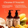 Fable and Mane HoliRoots Shampoo, Moisturizing Shampoo, Coconut Oil Shampoo for Women, Hydrating Shampoo, Clarifying Shampoo for Dry Damaged Hair - Genuine Fable and Mane Shampoo 8.5 FL oz