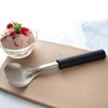 Rada Cutlery Ice Cream Scoop-Black Resin Handle Made in the USA, 9-1/4 Inches