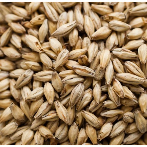 Dingemans Pale Ale Malt - 1 LB, Uncrushed