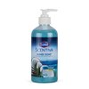 Clorox Scentiva Liquid Hand Soap 14 oz Liquid Hand Wash with Vitamin B5 BleachFree Scented Hand Soap for Kitchen or Bathroom, Pacific Breeze & Coconut, Aloe Vera, 1 Count