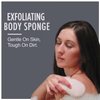HartFelt Skin Care Bundle Includes 2 Facial Sponges & 2 Body Sponges for Exfoliating and Removing Dead Skin | Reusable Chemical-Free Sponges for Deep Cleansing | Made in USA - 4 Count