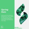 Paint Scentsations Spring Rain Odor Control Paint Additive | Air Freshener For Home | Last Up To 4 Months | Mix 1oz For Every 1 Gallon Of Paint | 10oz Bottle