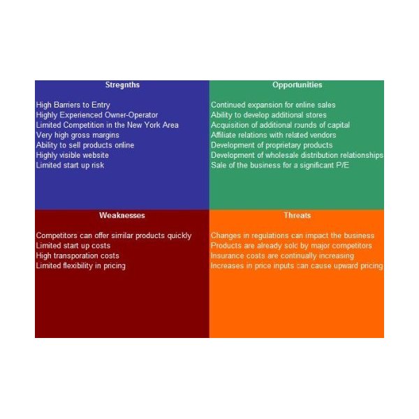 Video Game Producer SWOT Analysis Plus Business Plan
