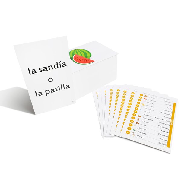 Pat's Flash Cards 192 Spanish Beginning Vocabulary Flash Cards with Original Artwork - For All Ages