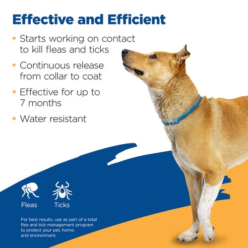Zodiac Flea and Tick Collar for Large Dogs