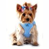 DOGGIE DESIGN American River Ultra Choke Free Dog Harness (S, Light Blue)