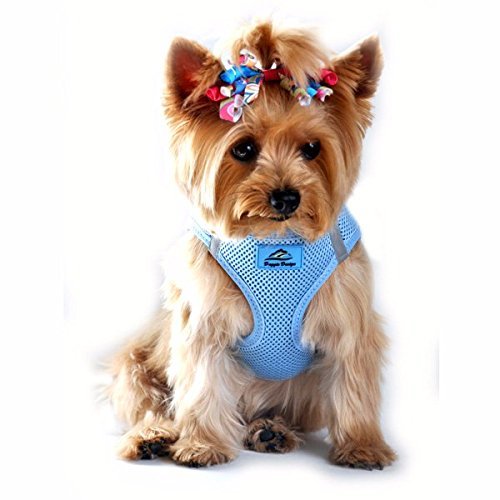 DOGGIE DESIGN American River Ultra Choke Free Dog Harness (S, Light Blue)