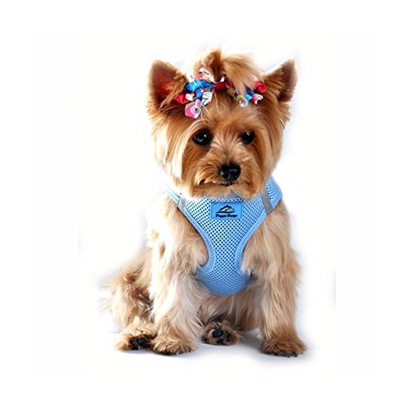 DOGGIE DESIGN American River Ultra Choke Free Dog Harness (S, Light Blue)