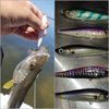 wLure 10 Blank Unpainted Minnow Crankbait Topwater Lipless Jerkbait Fishing Lures V3 (UPM708P10)