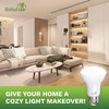 Bioluz LED 4 Pack BR20 LED Bulb 3000K Bright Soft White 6W = 50 Watt Replacement 90 CRI 540 Lumen Indoor/Outdoor UL Listed CEC Title 20 Compliant (Pack of 4)