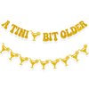 Breling Pre-Strung A Tini Bit Older Banner 20 ft A Tini Bit Older Garland Banner Martini Birthday Party Decorations Glitter A Tini Bit Older Martini Bar Party Decor Supplies(Gold)