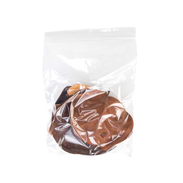 Josh's Frogs Organic Sea Grape Leaf Litter USA Collected (5 Leaves)