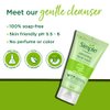 Simple Refreshing Facial Wash Gel, 5 Ounce