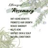 Well's Herb Dried Rosemary | 1.3 oz. | 100% Natural | Perfect for Herbal-Infused Hair Oil | for Hair & Skin Oil DIY | Rosemary Herb